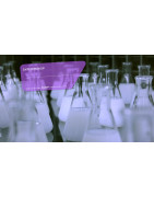 GVS (69) : Biotechnologie, Produits Écologiques et Enzymatiques Pro à Lyon