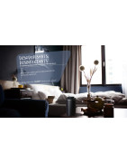 GVS FIRCHIM : Désodorisants Professionnels - le Rhône