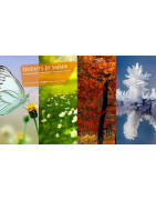 GVS (69) : Produits de Saison, Déneigement, Anti-Mousse et Anti-Moustiques Pro à Lyon