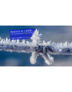 GVS Firchim : Dégivrant, Antigel & Déneigeant PRO Rhône (69)