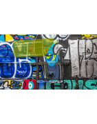 GVS FIRCHIM : Décapants Peintures & Anti-Graffitis Pro - le Rhône