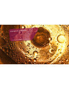 GVS FIRCHIM : Fontaines Dégraissage & Liquides Nettoyants Pro - le Rhône