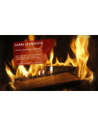 GVS (69) : Produits Pro Ramonage, Débistrage et Entretien Cheminées à Lyon