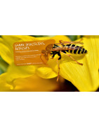 GVS (69) : Insecticides Répulsifs Pro, Désinsectisation Nuisibles à Lyon